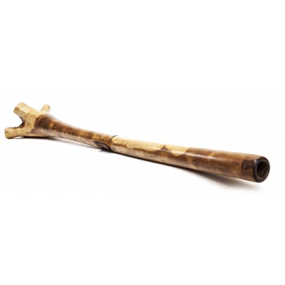 Didgeridoo Eucalipto Natural 150 Ctms